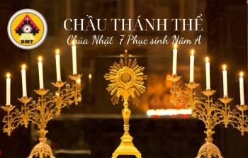 Chầu Thánh Thể Chúa Nhật 7 Phục sinh Năm A