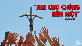 Sống trong hiệp nhất