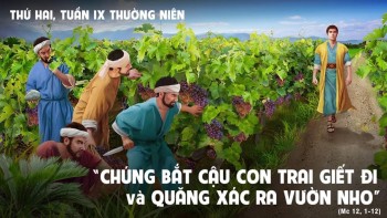 Đá Tảng Góc Tường và Vườn Nho Cuộc Đời