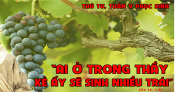 Mạch sống và nhát kéo yêu thương