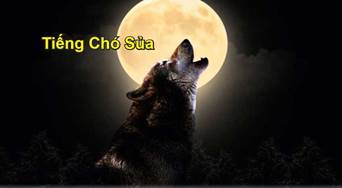 Vầng Trăng Vẫn Tỏa Sáng