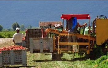 chủ đề Ngày Thế giới Cầu nguyện cho việc Chăm sóc Thụ tạo