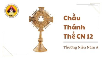 Chầu Thánh Thể Chúa nhật 12 Thường niên Năm A
