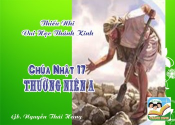 Thiếu Nhi VHTK CHÚA NHẬT 17 TN A