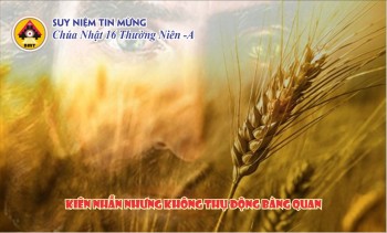 Bài suy niệm Chúa Nhật XVI Thường niên A