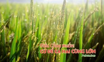 Điều Chúa muốn: Cứ để cả hai cùng lớn