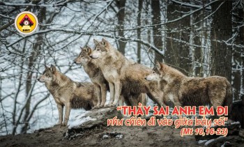 Lời Chúa THỨ SÁU TUẦN 14 THƯỜNG NIÊN