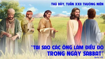 Luật vì con người