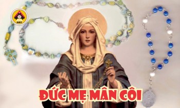 Lời Chúa CHÚA NHẬT XXVII THƯỜNG NIÊN – A