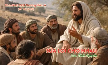 Sửa lỗi cho nhau (Mt 18,15-20)