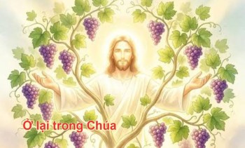 Ở lại trong Chúa