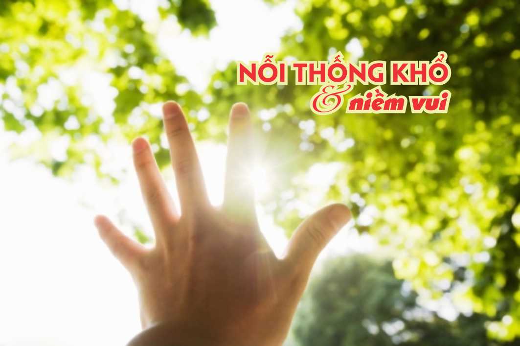 Nỗi thống khổ và Niềm vui