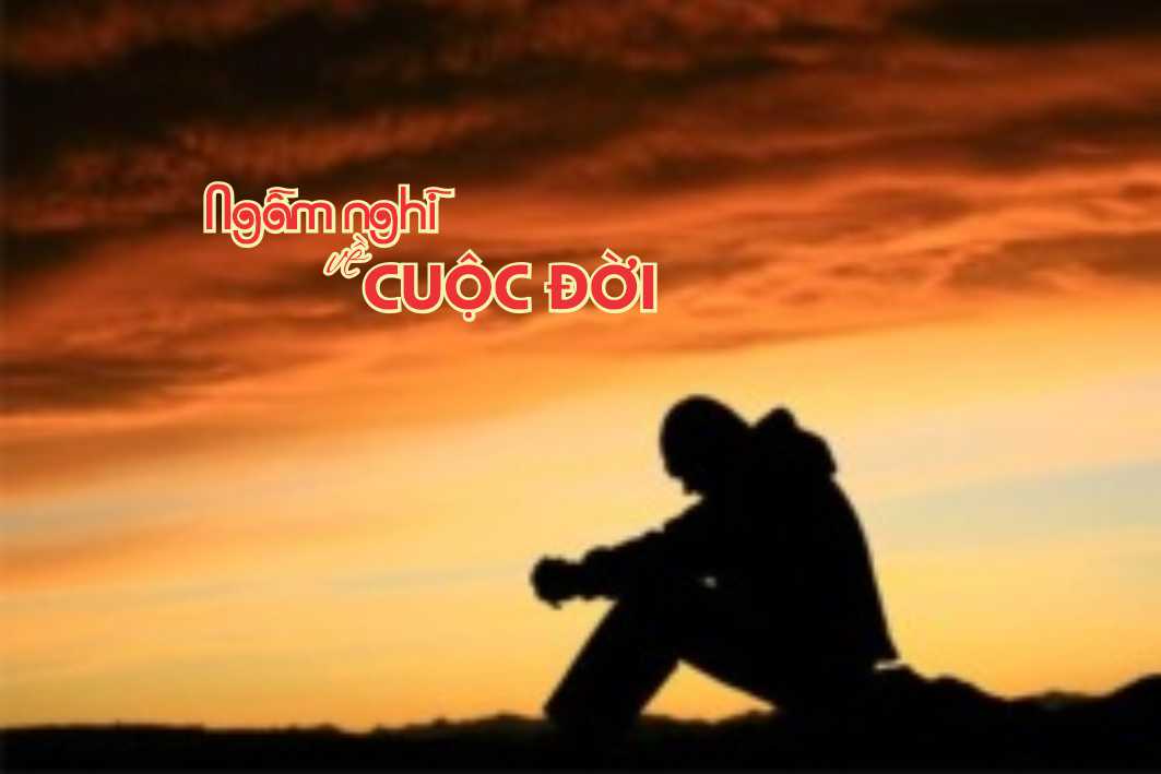 Ngẫm nghĩ về Cuộc đời