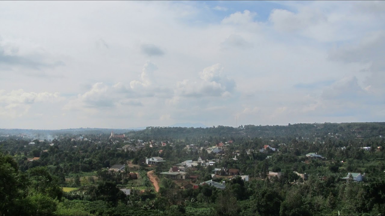 Nghĩa Mẹ Tình Cha