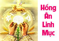 hong an LM
