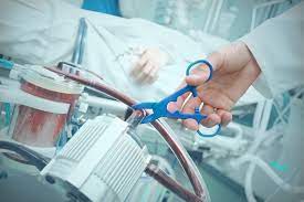 An tử và trợ tử: Tình hình tranh luận hiện nay