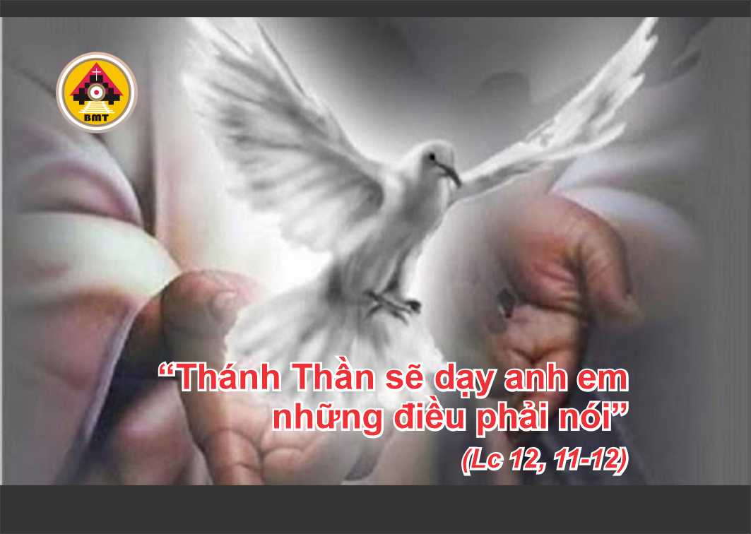t7 t28 TN