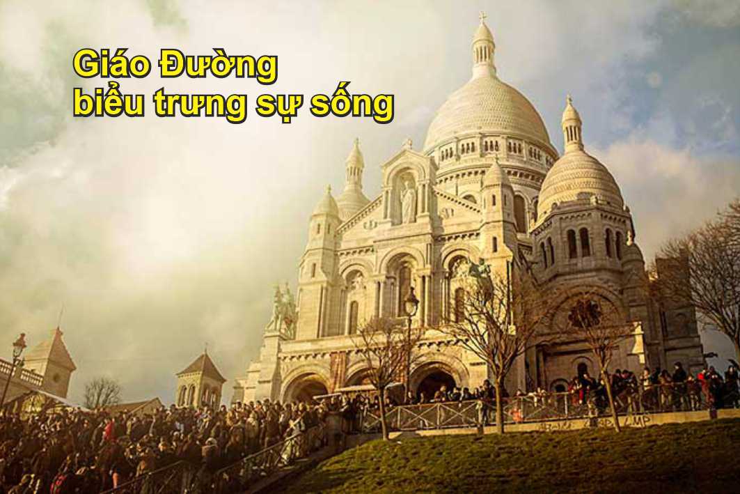 Le song 20 t2