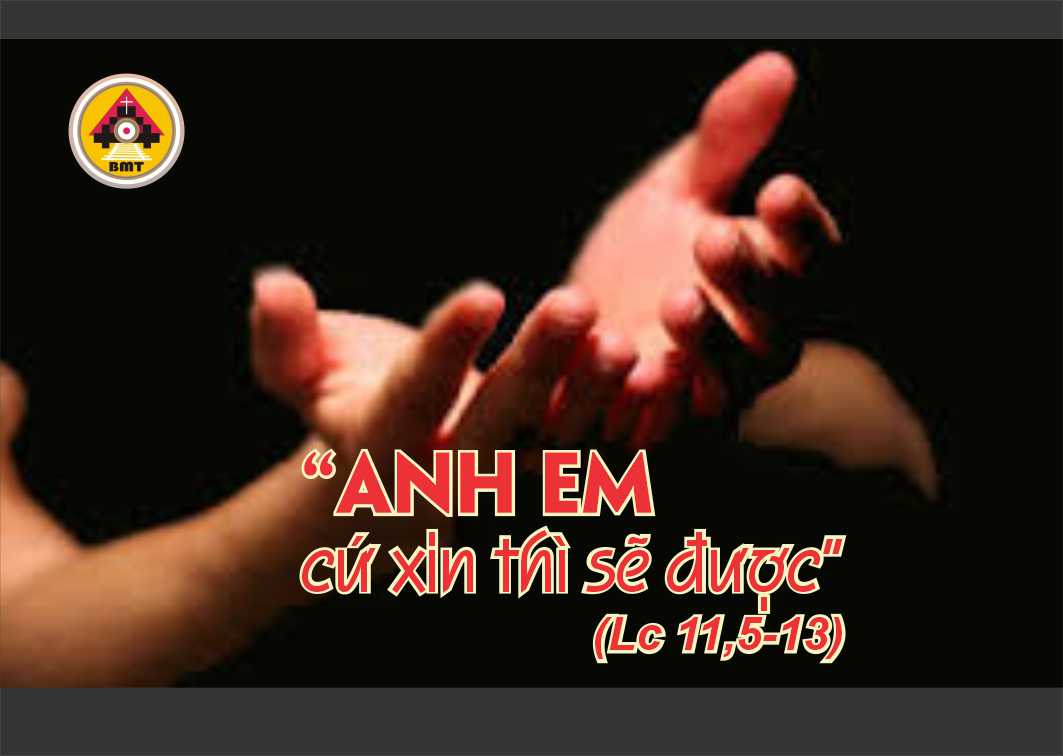 t5 t27 TN