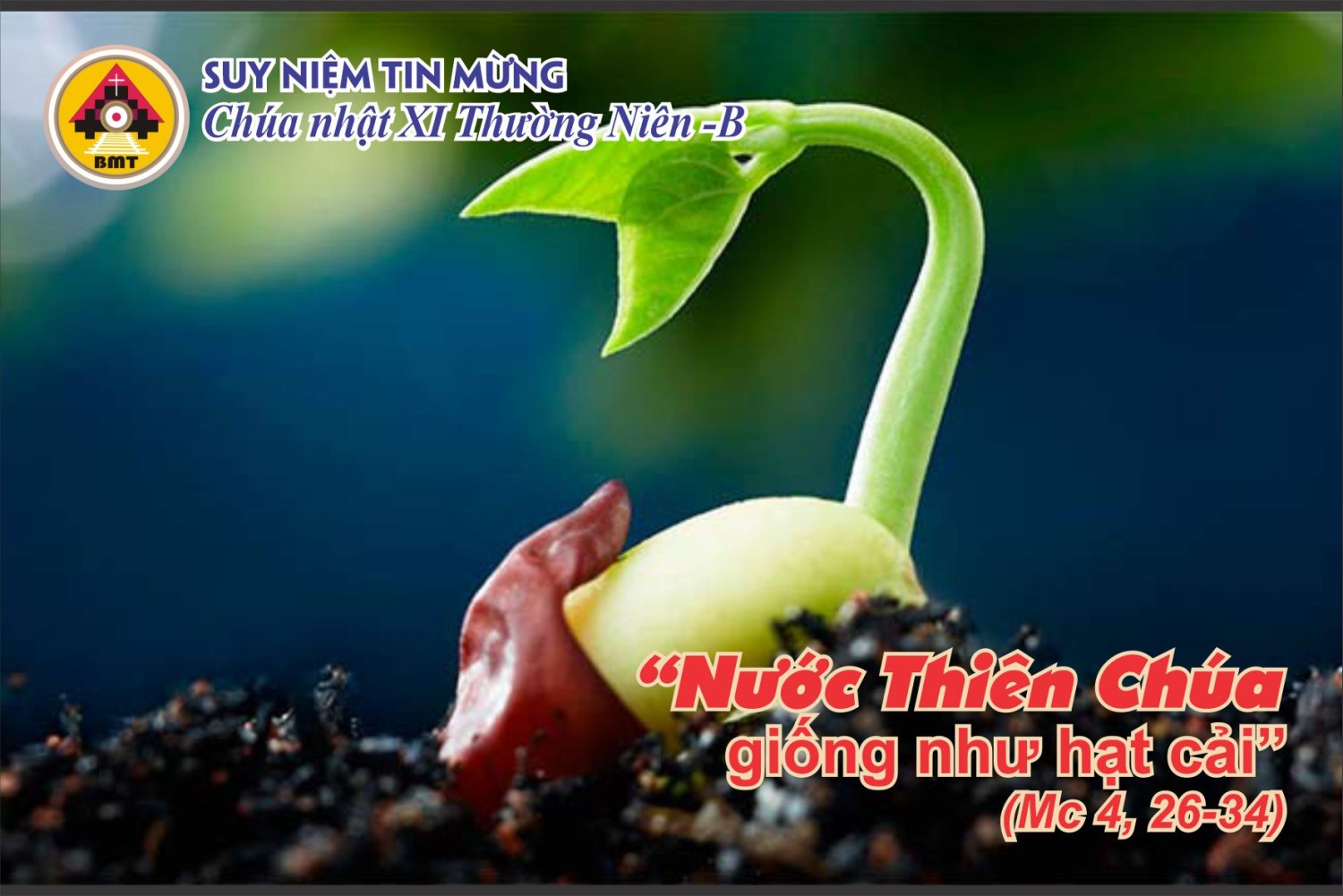 CN11TNb a3