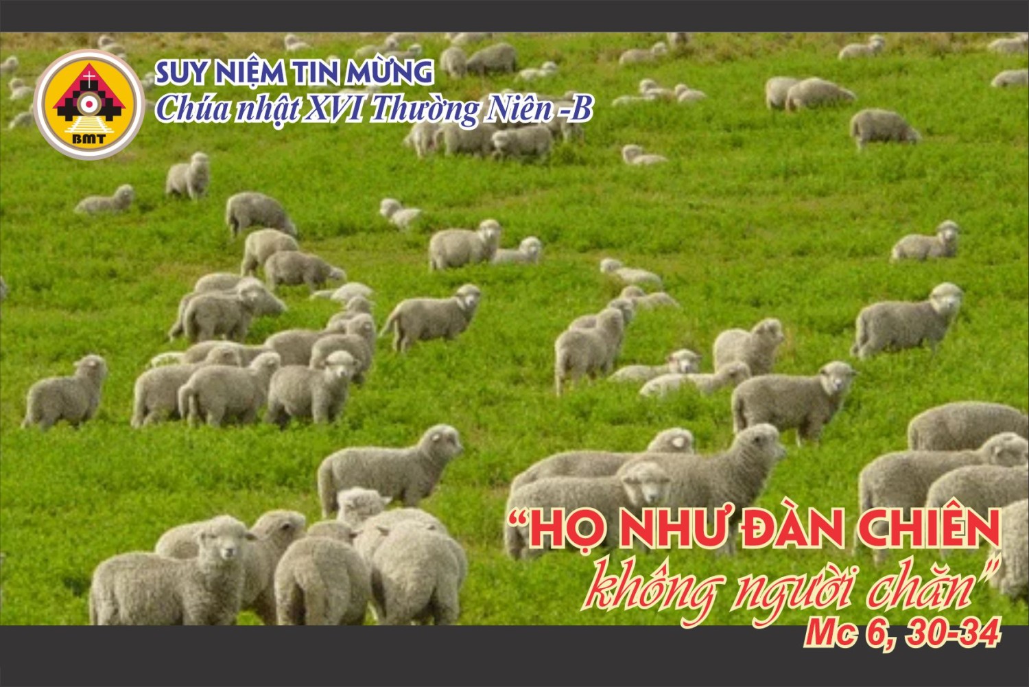 CN16TNb 2