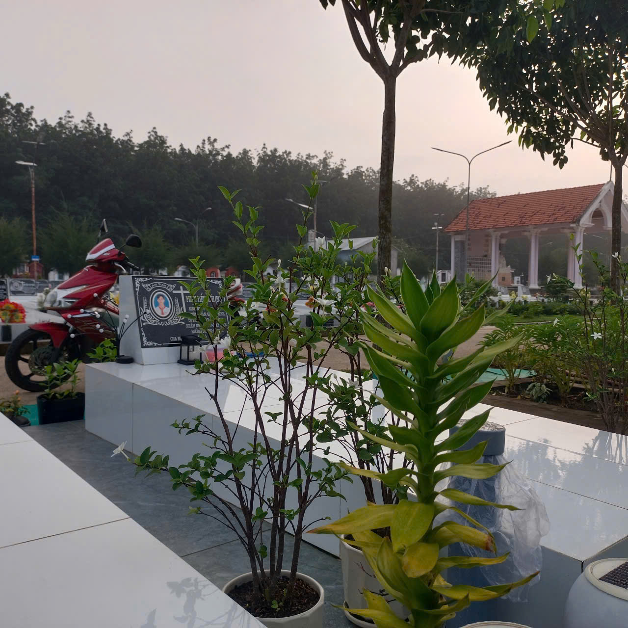 Thinh lặng để khám phá Tình Phụ Tử
