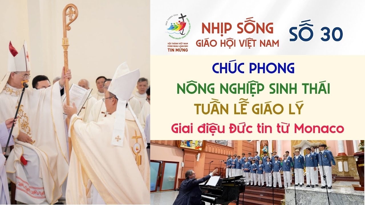 Nhịp sống Giáo hội Việt Nam số 30