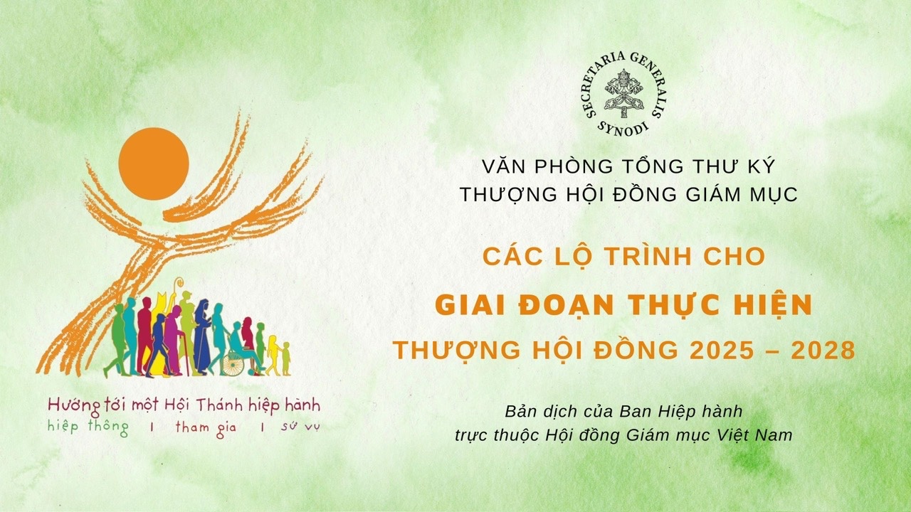 Các lộ trình thực hiện THĐ giai đoạn 2025-2028