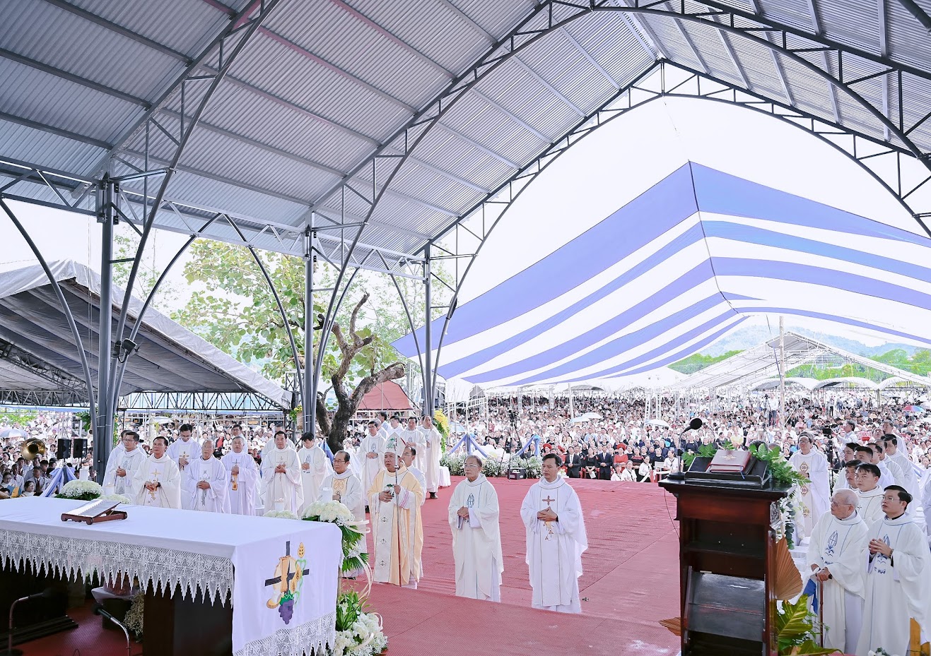 BMT 150825a