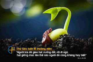 Thu Sau tuan III TN A