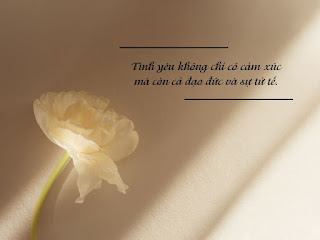 Tử tế — một điều xa xỉ?