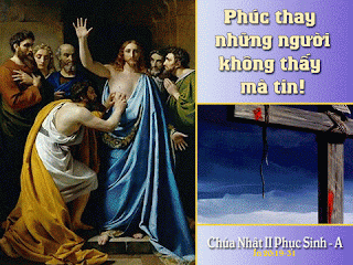 Sự Sống bắt đầu lại từ những vết thương