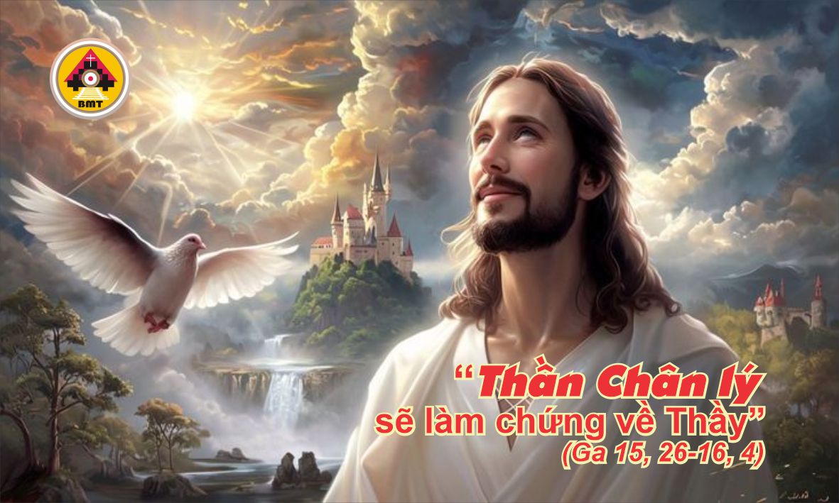 t2 t6 PS