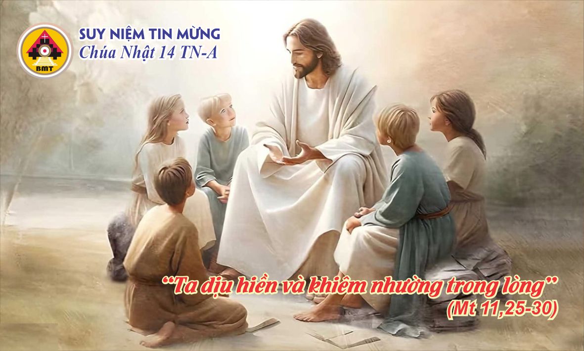 cn14tn a1