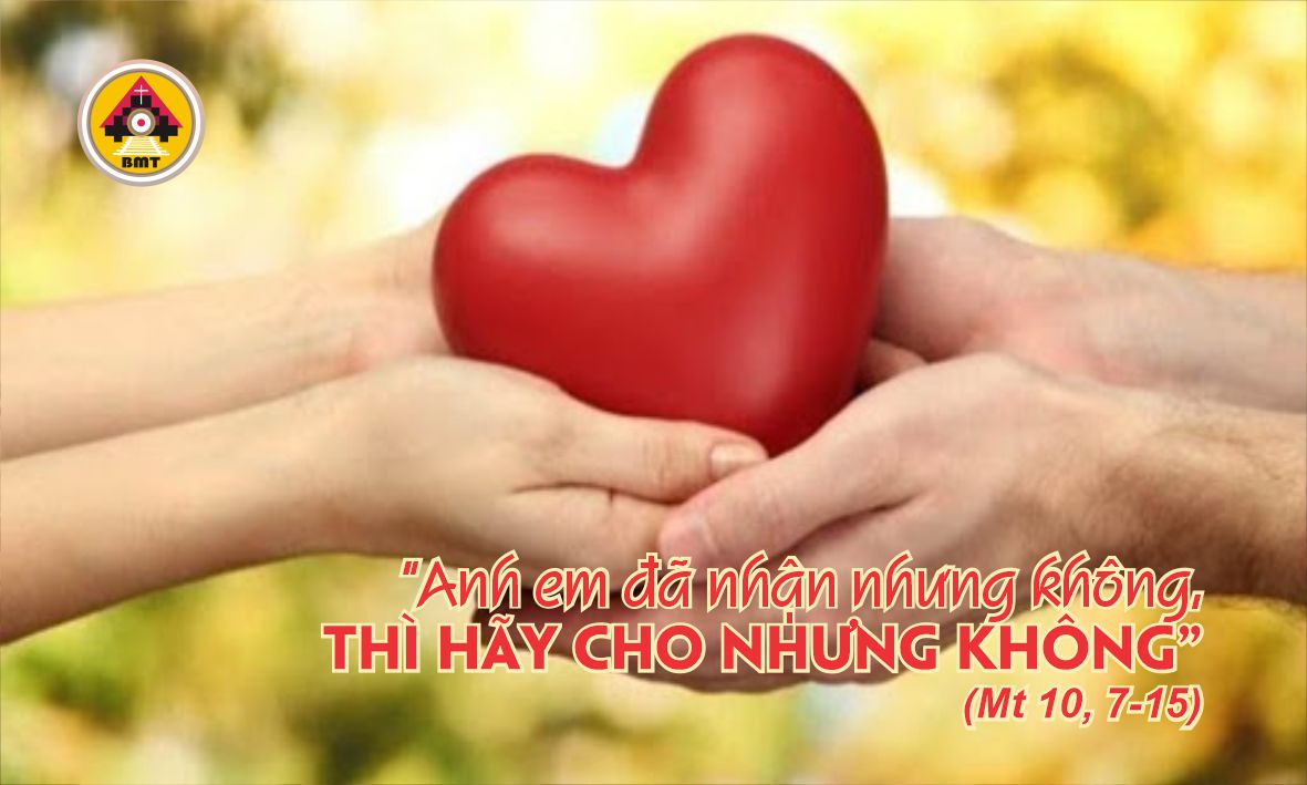 t5 t14 TN