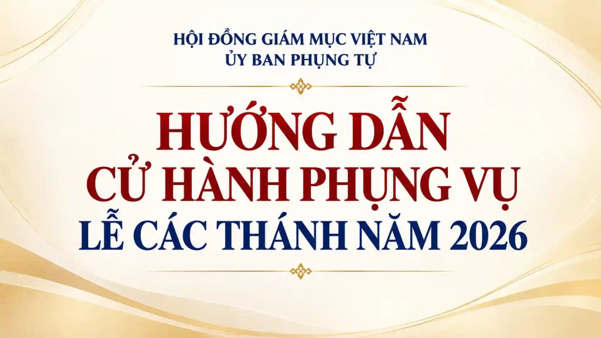vn241026a