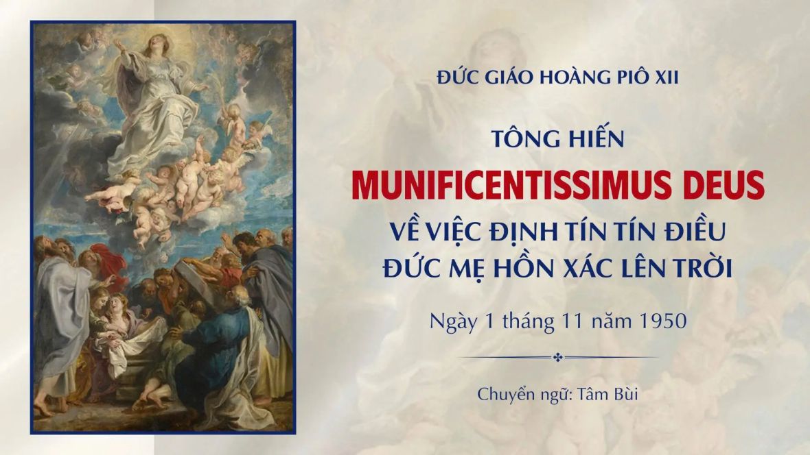 vn110826a